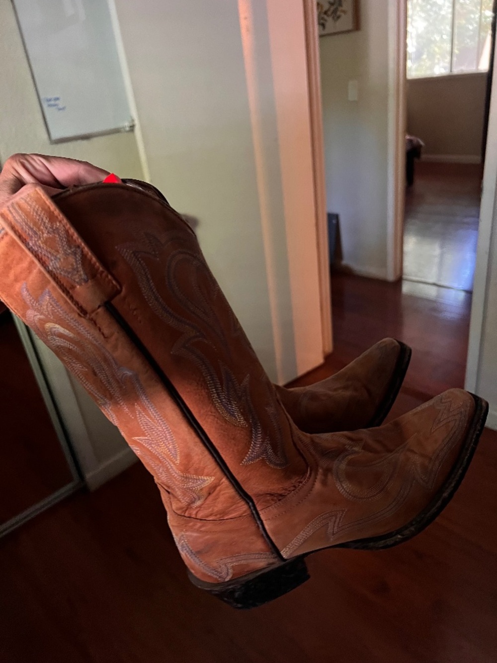 Ariat Boots